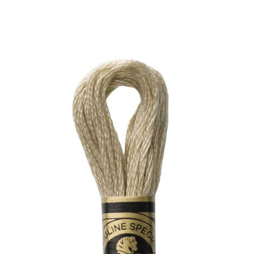 DMC Stranded Cotton Mouliné Spécial Embroidery Thread (613)