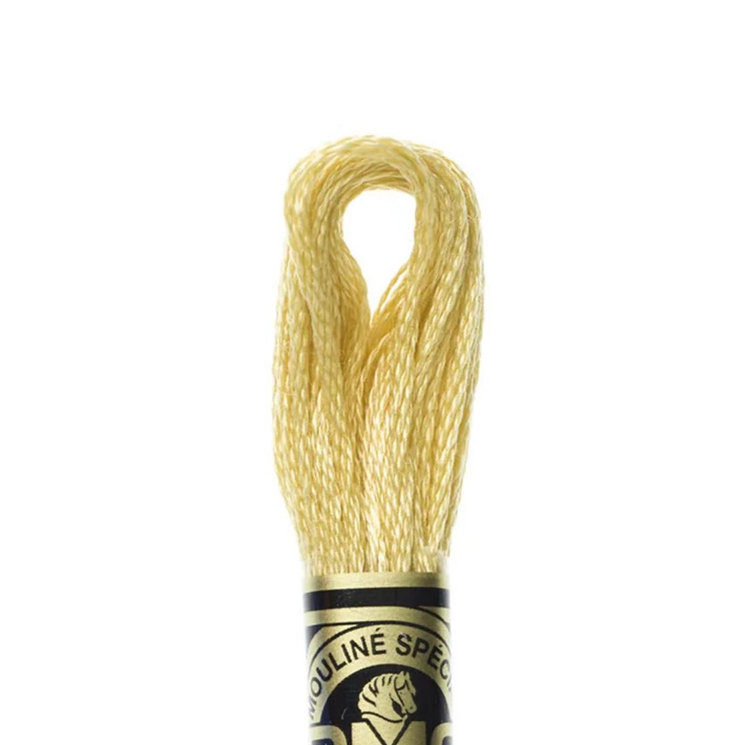 DMC Stranded Cotton Mouliné Spécial Embroidery Thread (676)