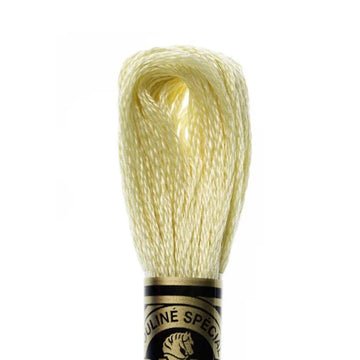 DMC Stranded Cotton Mouliné Spécial Embroidery Thread (677)