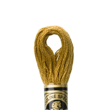 DMC Stranded Cotton Mouliné Spécial Embroidery Thread (680)