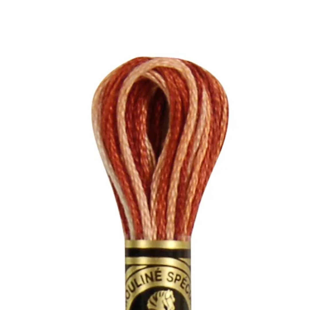 DMC Stranded Cotton Mouliné Spécial Embroidery Thread (69)