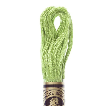 DMC Stranded Cotton Mouliné Spécial Embroidery Thread (704)