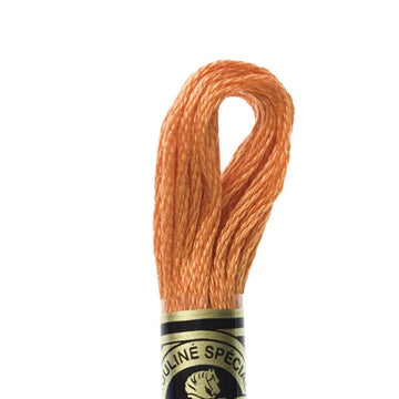 DMC Stranded Cotton Mouliné Spécial Embroidery Thread (721)