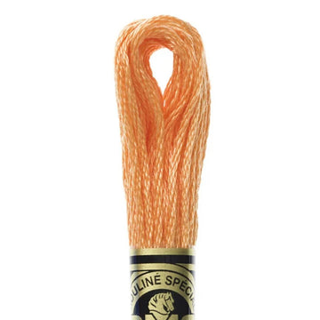 DMC Stranded Cotton Mouliné Spécial Embroidery Thread (722)