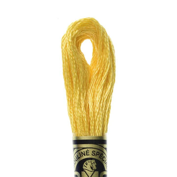 DMC Stranded Cotton Mouliné Spécial Embroidery Thread (725)