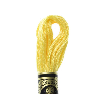 DMC Stranded Cotton Mouliné Spécial Embroidery Thread (726)