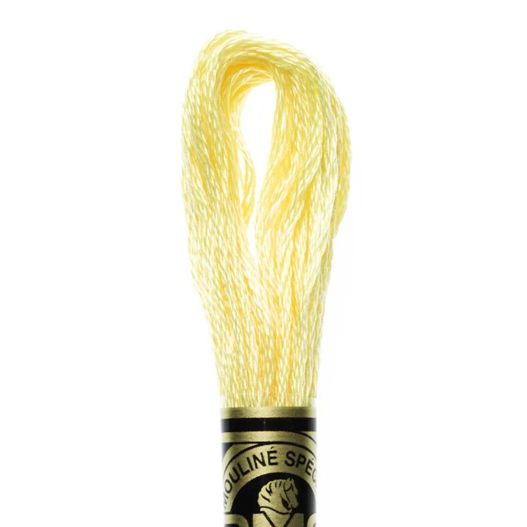 DMC Stranded Cotton Mouliné Spécial Embroidery Thread (727)