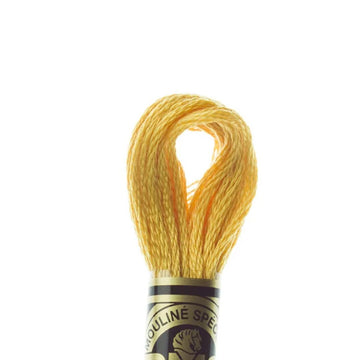 DMC Stranded Cotton Mouliné Spécial Embroidery Thread (728)