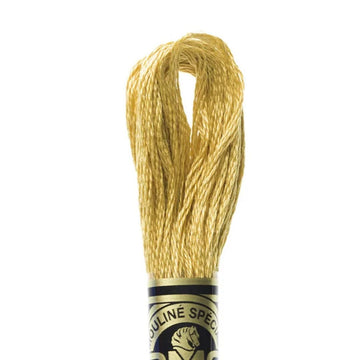 DMC Stranded Cotton Mouliné Spécial Embroidery Thread (729)