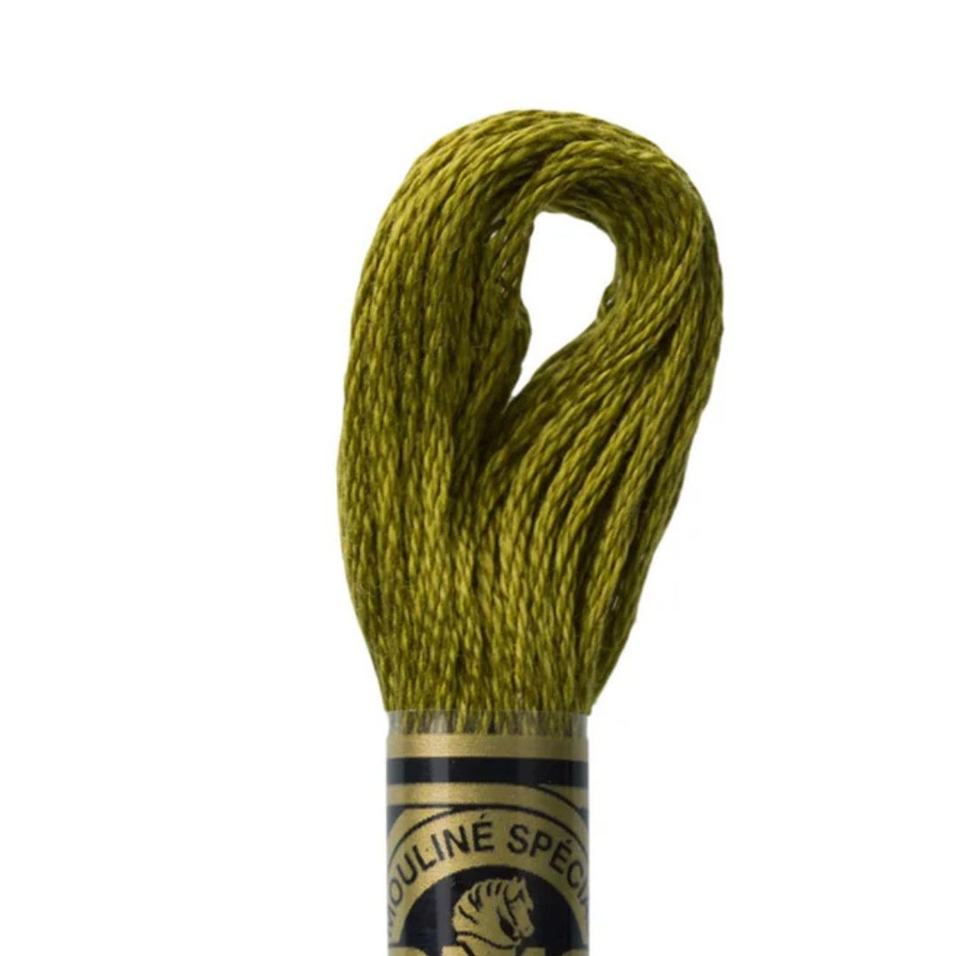 DMC Stranded Cotton Mouliné Spécial Embroidery Thread (732)