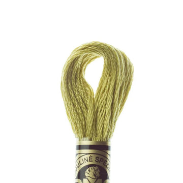 DMC Stranded Cotton Mouliné Spécial Embroidery Thread (734)