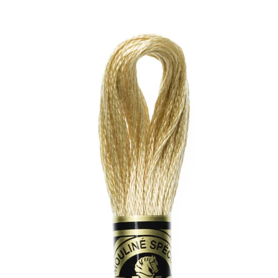 DMC Stranded Cotton Mouliné Spécial Embroidery Thread (738)