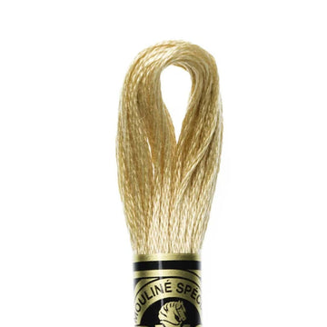 DMC Stranded Cotton Mouliné Spécial Embroidery Thread (738)