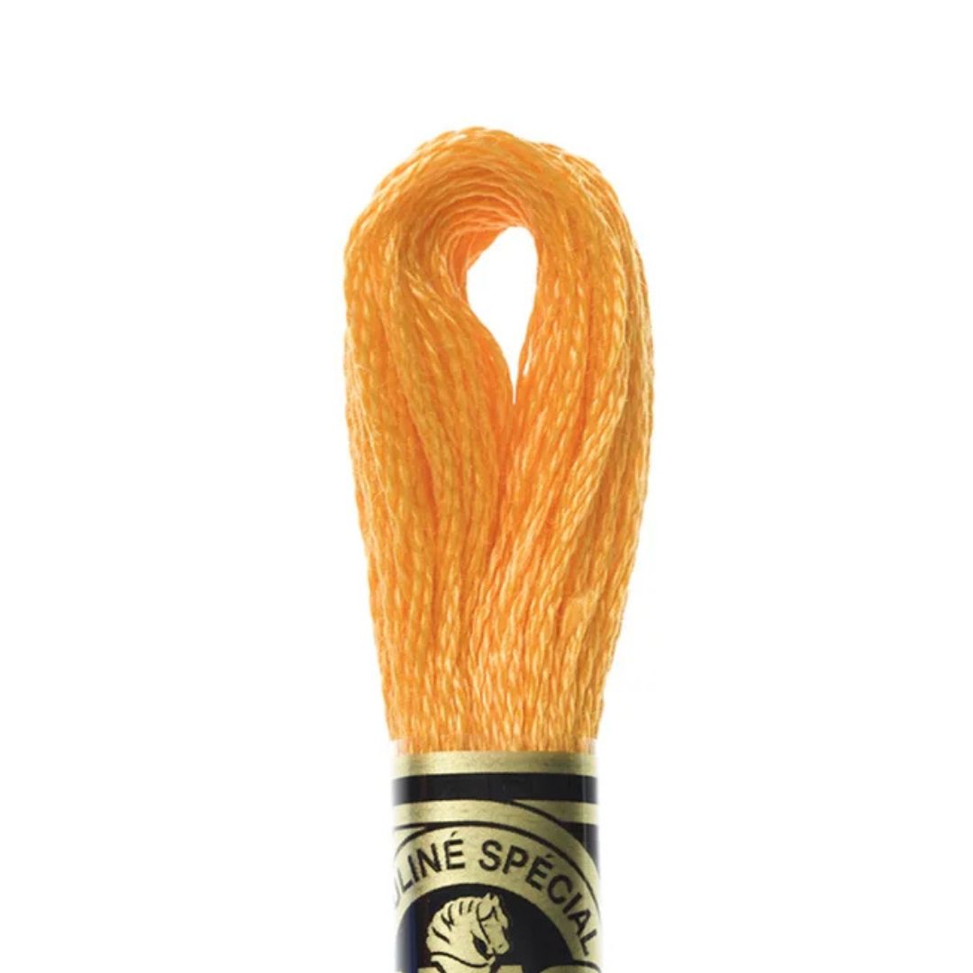 DMC Stranded Cotton Mouliné Spécial Embroidery Thread (741)