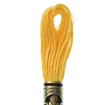 DMC Stranded Cotton Mouliné Spécial Embroidery Thread (742)