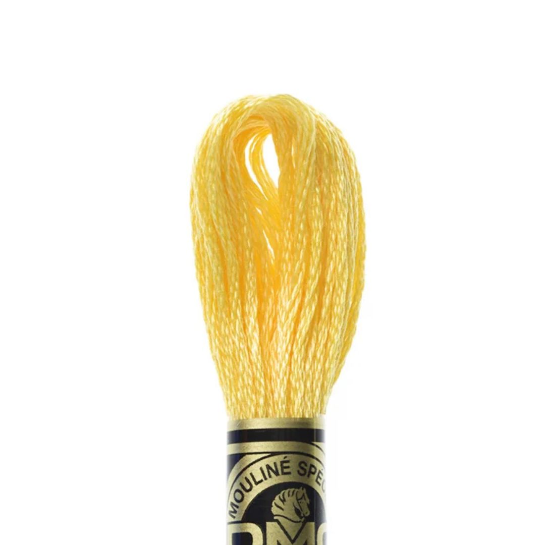 DMC Stranded Cotton Mouliné Spécial Embroidery Thread (743)