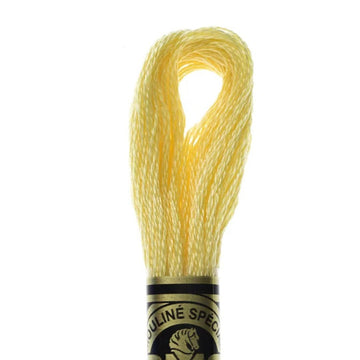 DMC Stranded Cotton Mouliné Spécial Embroidery Thread (744)