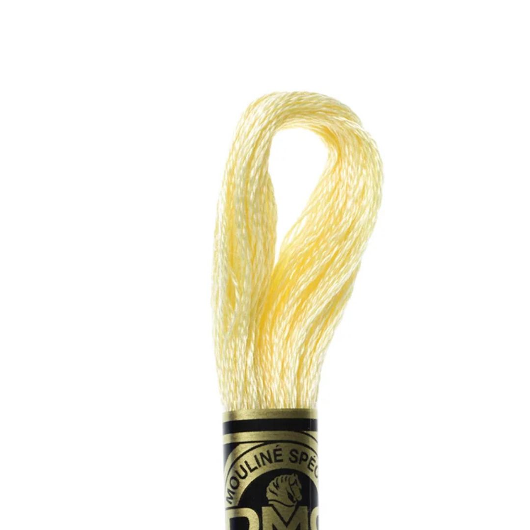 DMC Stranded Cotton Mouliné Spécial Embroidery Thread (745)