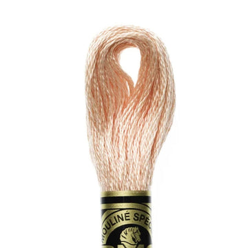 DMC Stranded Cotton Mouliné Spécial Embroidery Thread (754)