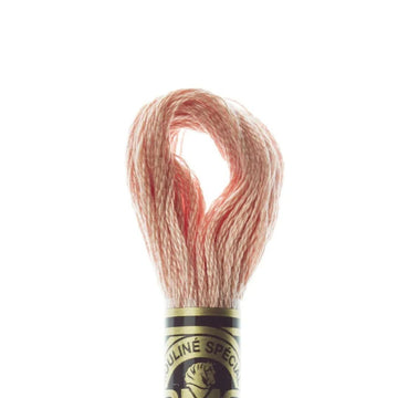 DMC Stranded Cotton Mouliné Spécial Embroidery Thread (758)