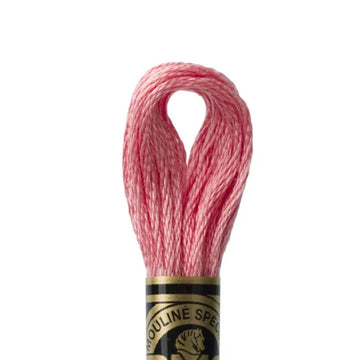 DMC Stranded Cotton Mouliné Spécial Embroidery Thread (760)