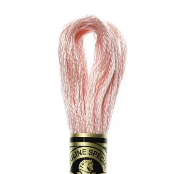 DMC Stranded Cotton Mouliné Spécial Embroidery Thread (761)