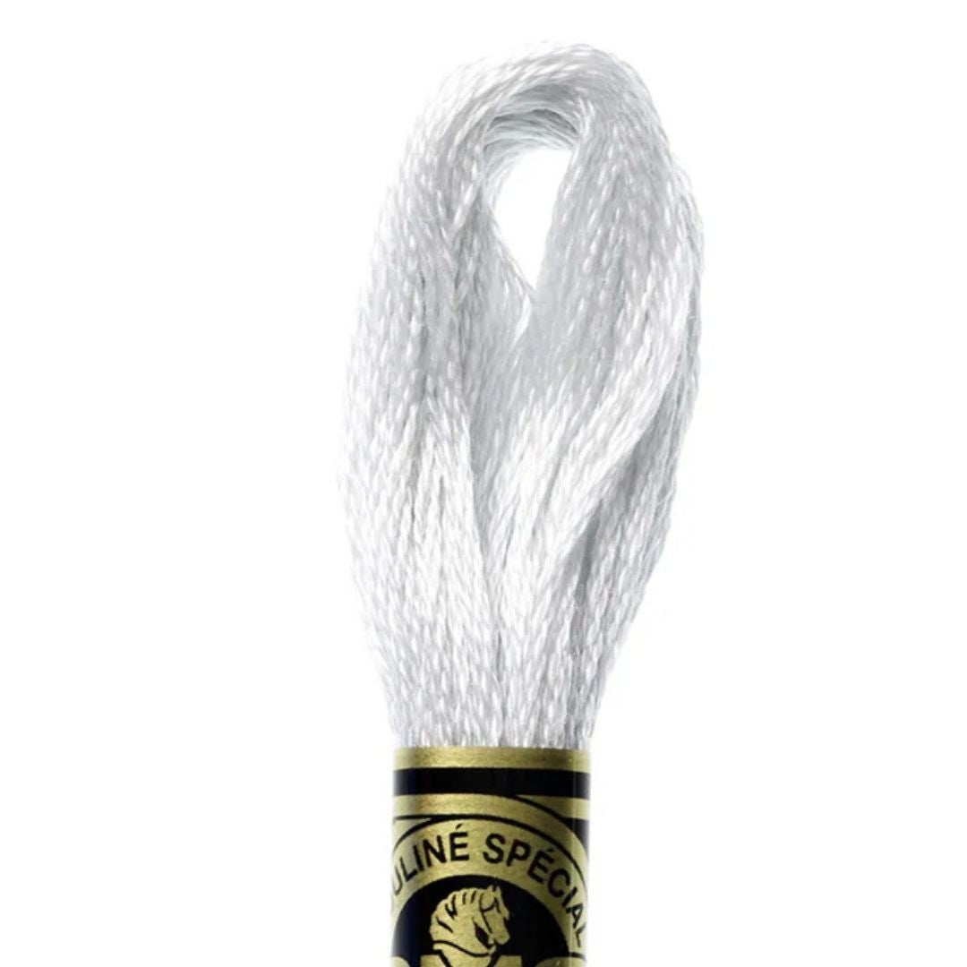DMC Stranded Cotton Mouliné Spécial Embroidery Thread (762)