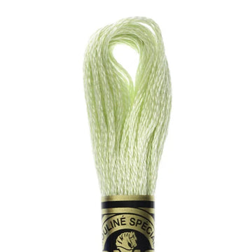 DMC Stranded Cotton Mouliné Spécial Embroidery Thread (772)