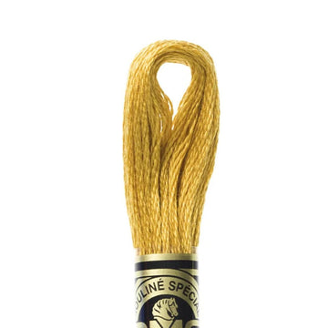 DMC Stranded Cotton Mouliné Spécial Embroidery Thread (783)