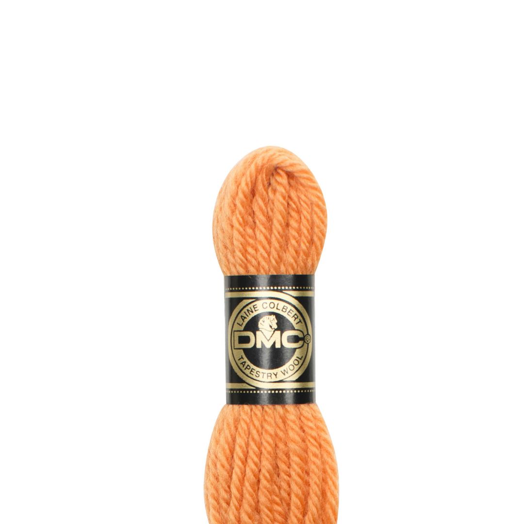 DMC Tapestry Wool Yarn (7919)