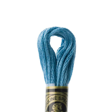 DMC Stranded Cotton Mouliné Spécial Embroidery Thread (807)