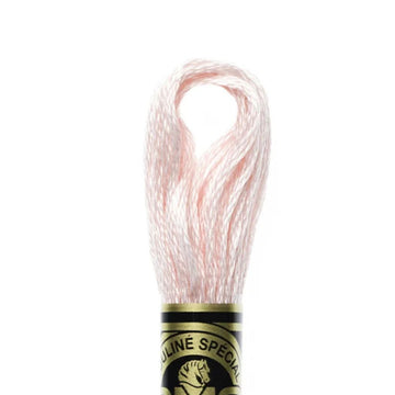 DMC Stranded Cotton Mouliné Spécial Embroidery Thread (818)