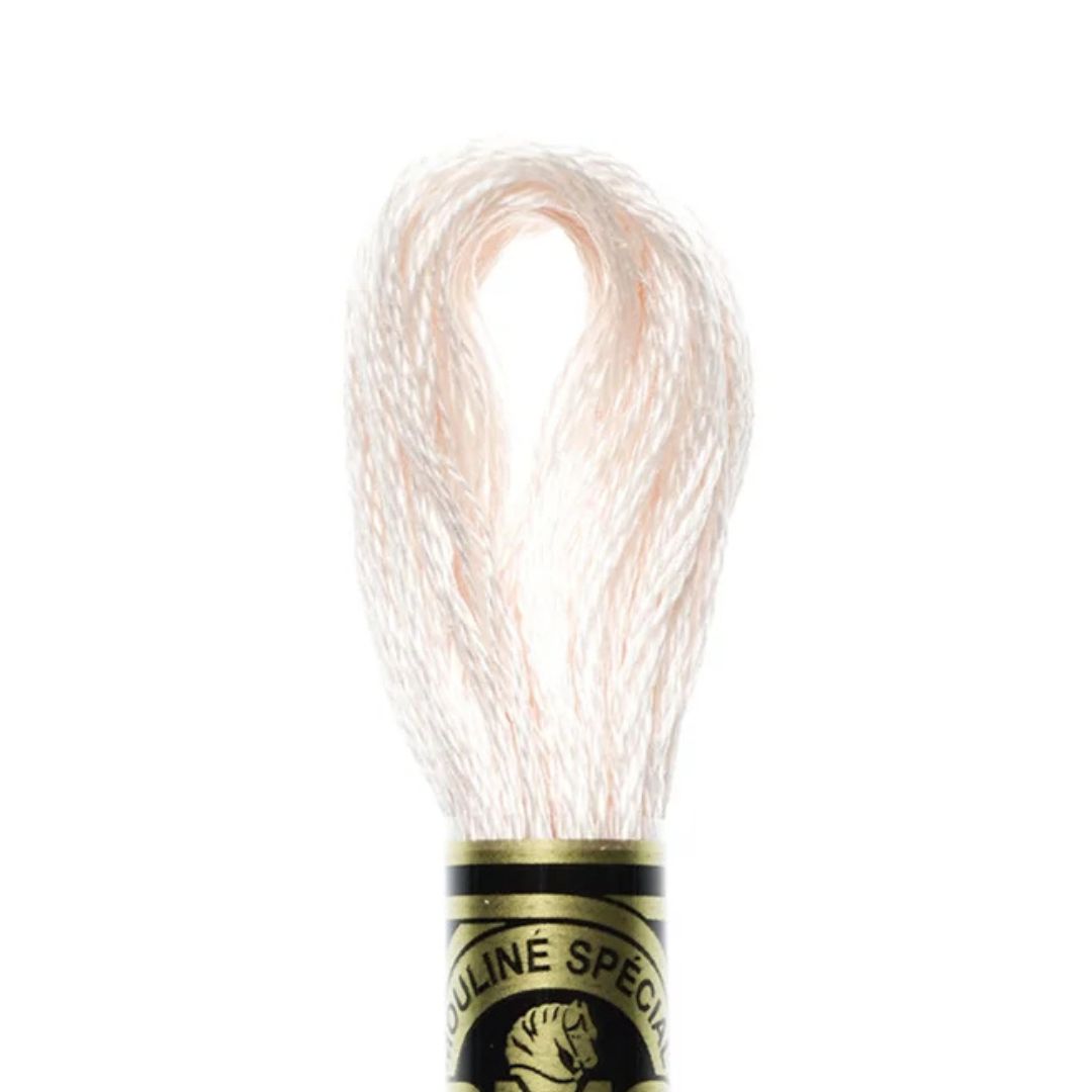 DMC Stranded Cotton Mouliné Spécial Embroidery Thread (819)