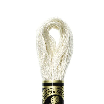 DMC Stranded Cotton Mouliné Spécial Embroidery Thread (822)