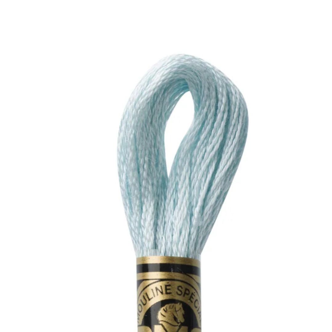 DMC Stranded Cotton Mouliné Spécial Embroidery Thread (828)