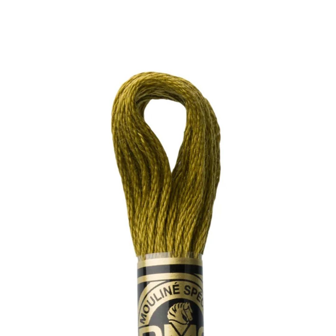 DMC Stranded Cotton Mouliné Spécial Embroidery Thread (831)