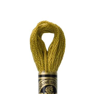 DMC Stranded Cotton Mouliné Spécial Embroidery Thread (832)