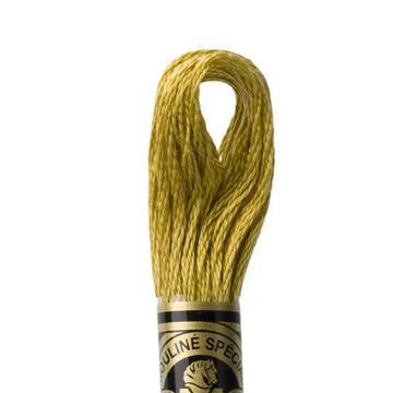 DMC Stranded Cotton Mouliné Spécial Embroidery Thread (833)