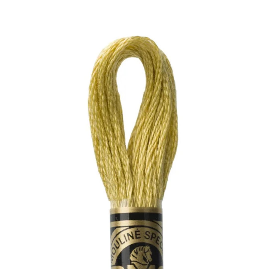 DMC Stranded Cotton Mouliné Spécial Embroidery Thread (834)