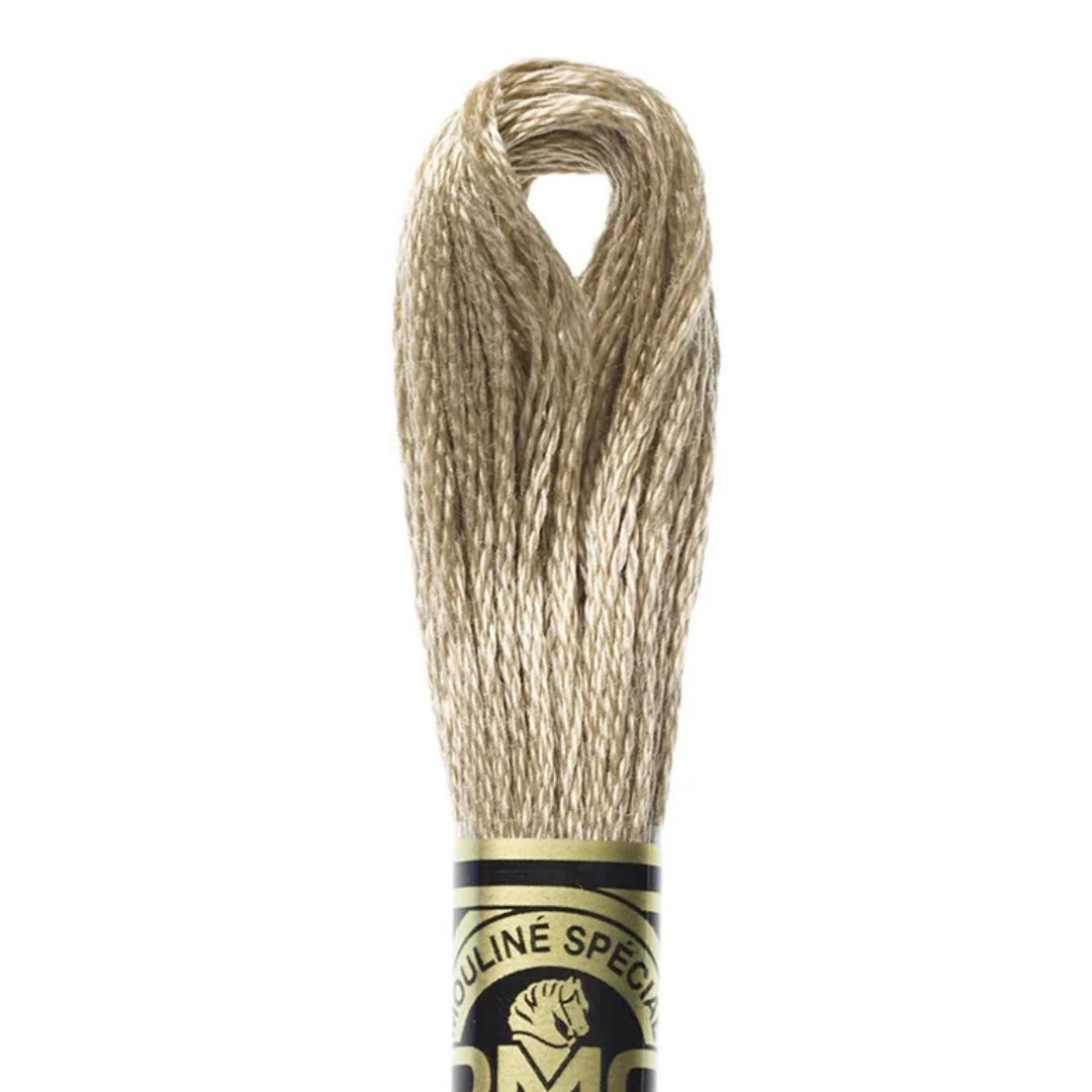DMC Stranded Cotton Mouliné Spécial Embroidery Thread (841)