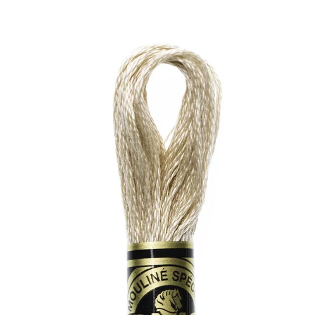 DMC Stranded Cotton Mouliné Spécial Embroidery Thread (842)