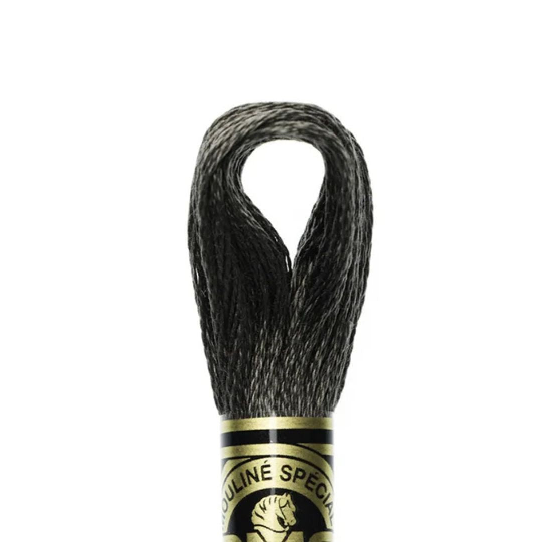 DMC Stranded Cotton Mouliné Spécial Embroidery Thread (844)