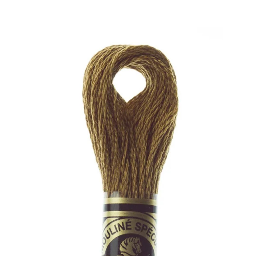 DMC Stranded Cotton Mouliné Spécial Embroidery Thread (869)