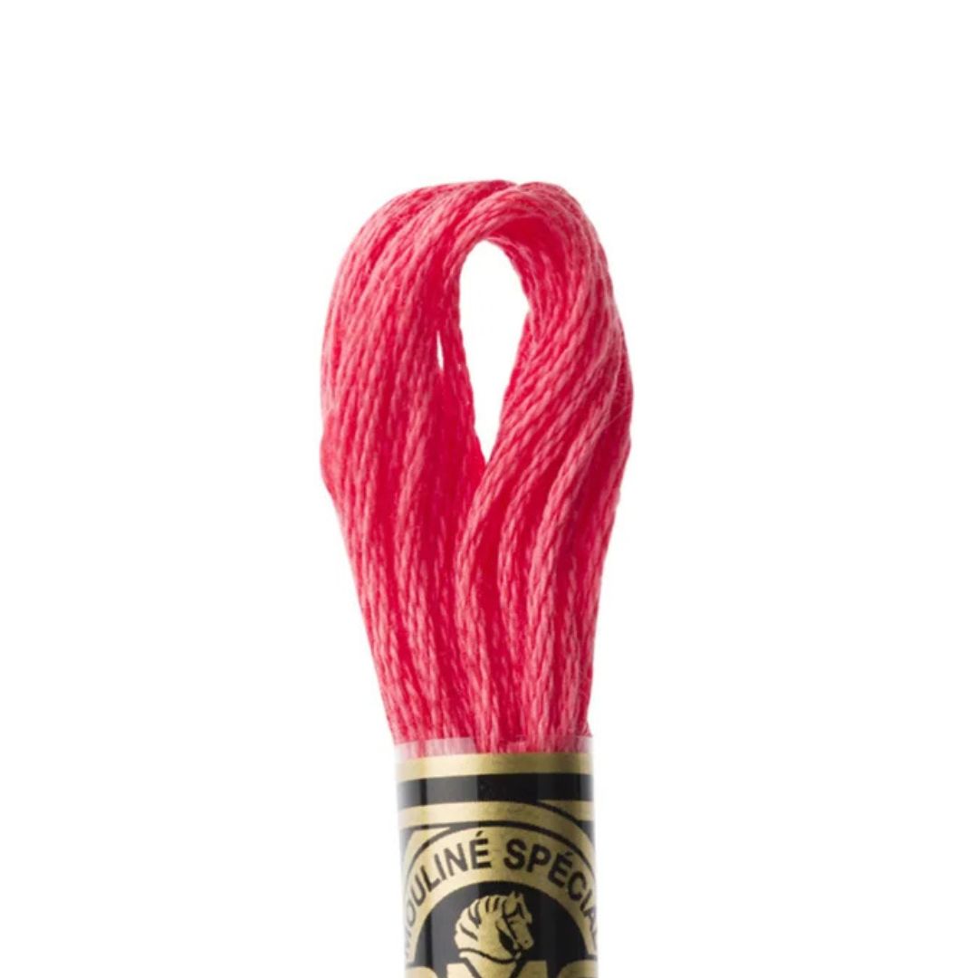 DMC Stranded Cotton Mouliné Spécial Embroidery Thread (892)