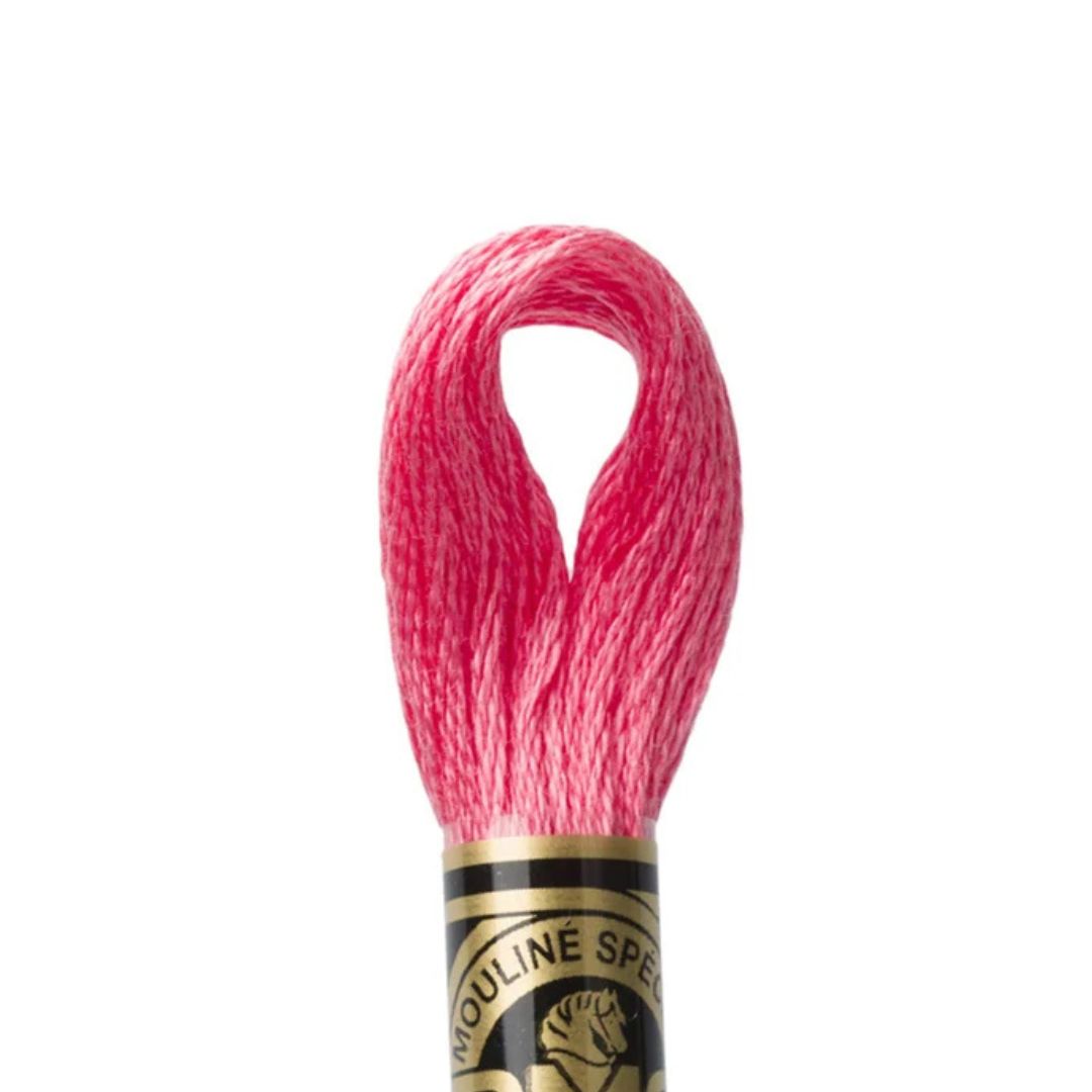 DMC Stranded Cotton Mouliné Spécial Embroidery Thread (893)