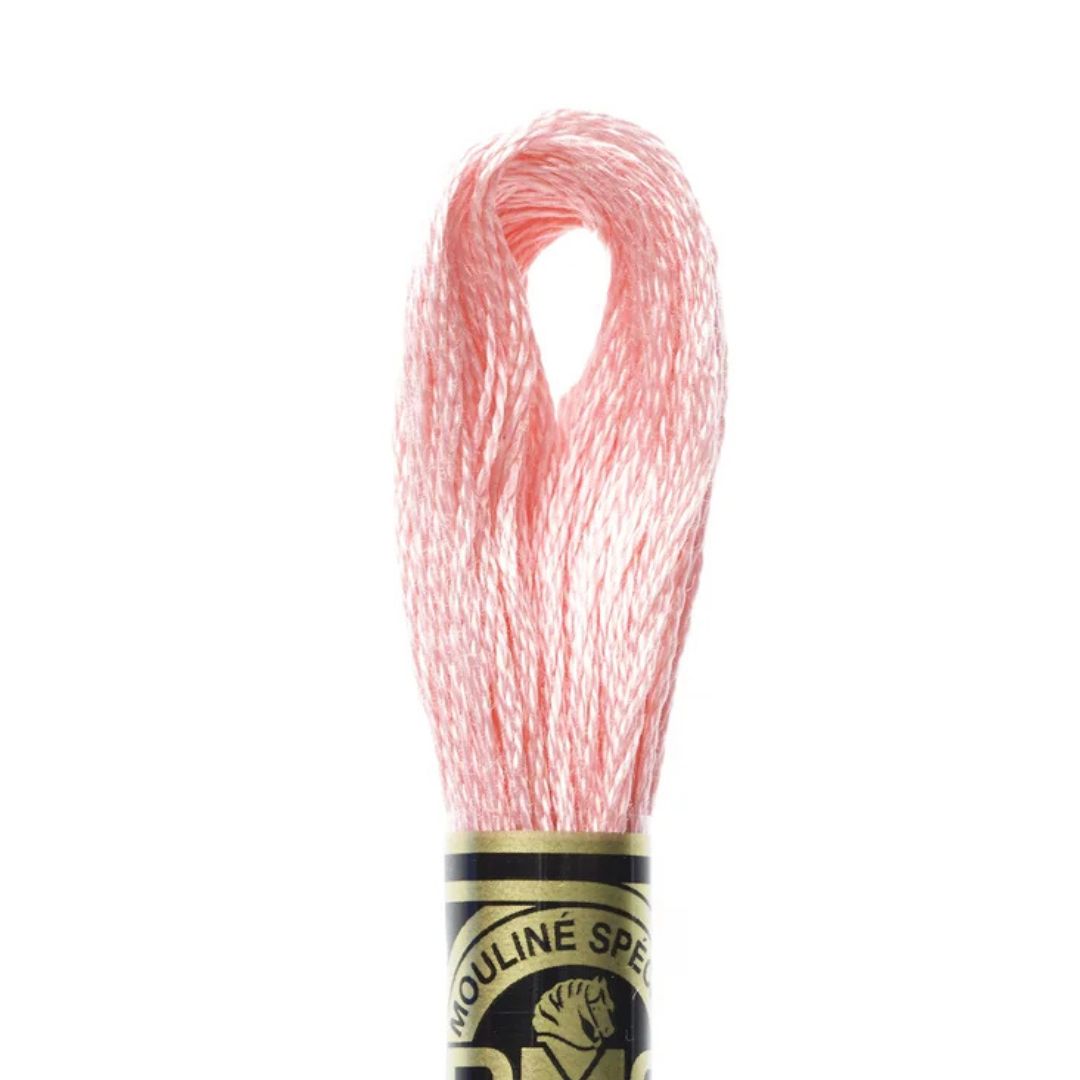 DMC Stranded Cotton Mouliné Spécial Embroidery Thread (894)