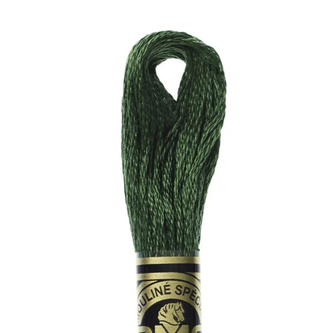 DMC Stranded Cotton Mouliné Spécial Embroidery Thread (895)