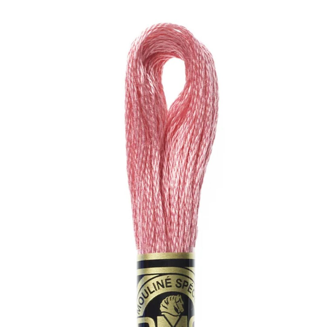 DMC Stranded Cotton Mouliné Spécial Embroidery Thread (899)