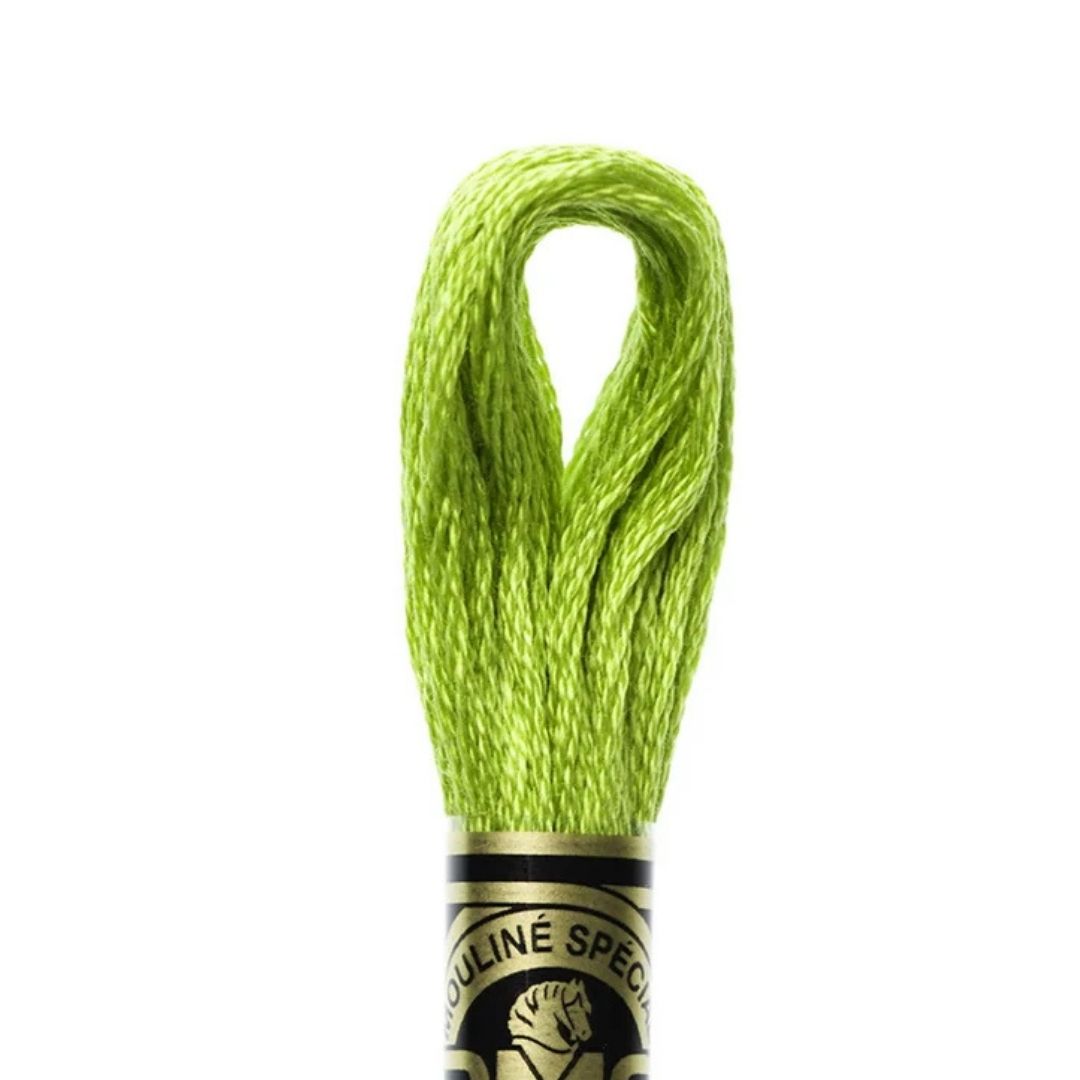 DMC Stranded Cotton Mouliné Spécial Embroidery Thread (907)