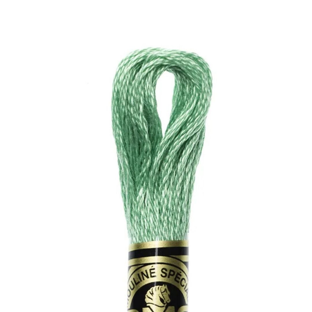 DMC Stranded Cotton Mouliné Spécial Embroidery Thread (913)
